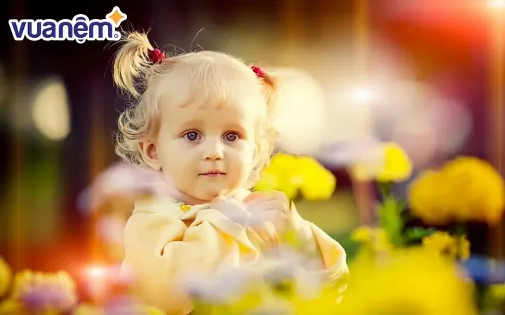 Ý Nghĩa Tên Bình Phương Là Gì? Phân Tích Chi Tiết, Phong Thủy Và Thần Số Học