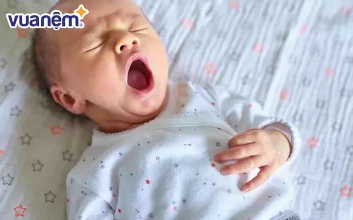 Ý Nghĩa Tên Bùi Gia Hưng Là Gì? Phân Tích Chi Tiết Và Gợi Ý Đặt Tên Con Trai Hợp Phong Thủy Năm 2026