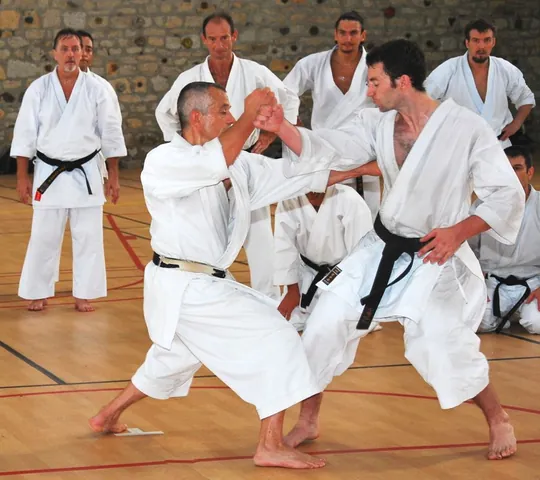Ý Nghĩa Tên Gọi Của Các Bài Quyền Nâng Cao Trong Karate Là Gì? Ý Nghĩa Tên Gọi Của Các Bài Quyền Nâng Cao Trong Karate Là Gì?