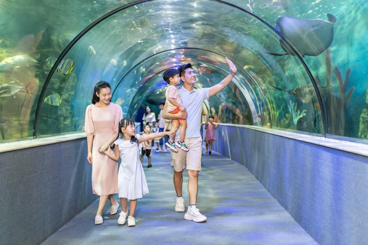 Những Thay Đổi Thăng Trầm Của Tên Gọi Các Con Phố Hà Nội Qua Các Thời Kỳ Lịch Sử Là Gì?