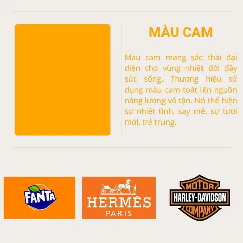 Tiêu Chí Chọn Màu Sắc Phù Hợp Cho Từng Lĩnh Vực Thiết Kế Là Gì?