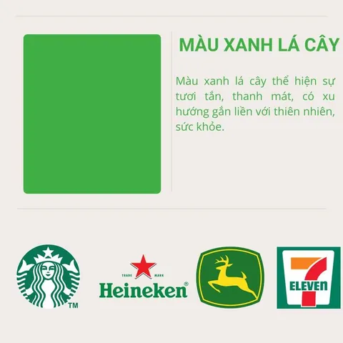 Màu Xanh Dương, Xanh Lá Và Tím Biểu Trưng Cho Điều Gì?