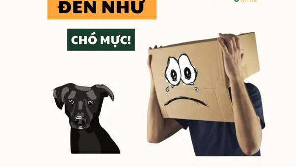 Ý Nghĩa Tên Các Màu Sắc Trong Văn Hóa, Thiết Kế Và Cuộc Sống