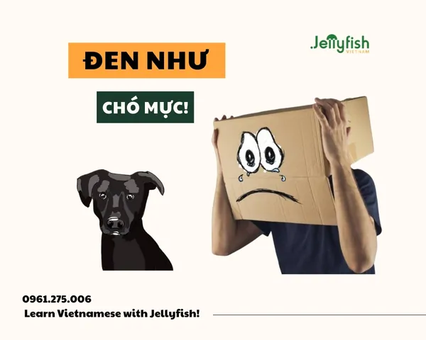 Ý Nghĩa Tên Các Màu Sắc Trong Văn Hóa, Thiết Kế Và Cuộc Sống