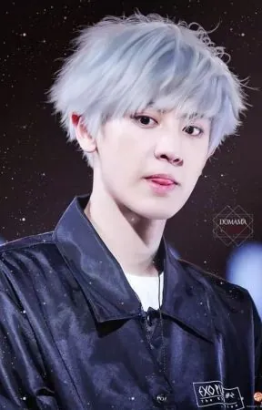 Tên Nhóm EXO Bắt Nguồn Từ Đâu Và Mang Thông Điệp Gì? Tên Nhóm EXO Bắt Nguồn Từ Đâu Và Mang Thông Điệp Gì?