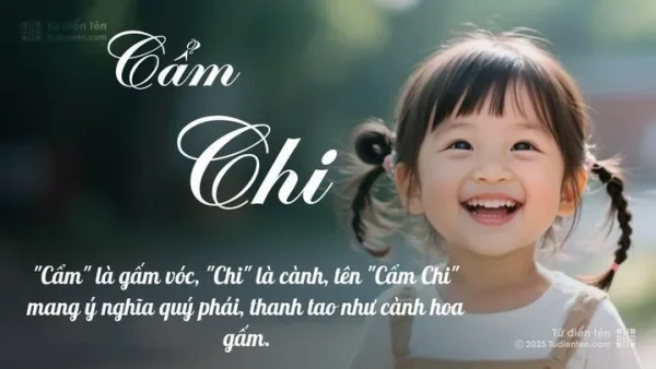 Tên Cẩm Chi: Ý Nghĩa Hán Việt, Phong Thủy Và Gợi Ý Tên Đệm Hay Cho Bé Gái