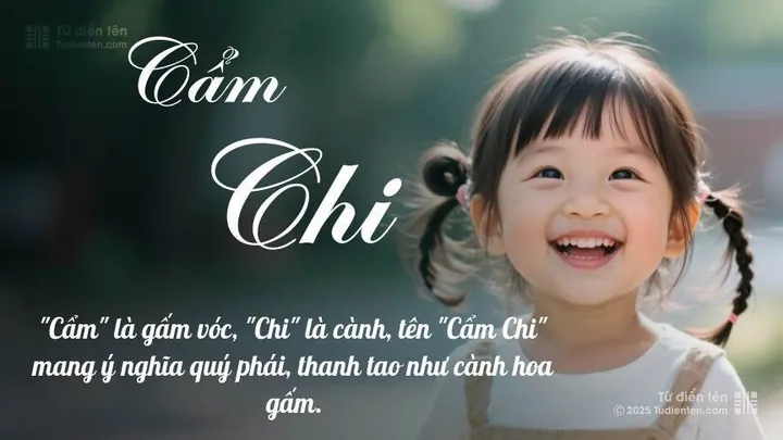 Tên Cẩm Chi Trong Phong Thủy Và Thần Số Học Có Hợp Không? Tên Cẩm Chi Trong Phong Thủy Và Thần Số Học Có Hợp Không?