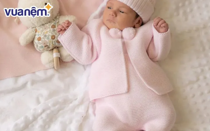 Tên Cẩm Hà Có Ý Nghĩa Gì Theo Từ Điển Hán Việt? Tên Cẩm Hà Có Ý Nghĩa Gì Theo Từ Điển Hán Việt?