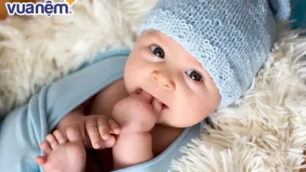Giải Mã Chi Tiết Ý Nghĩa Tên Cảnh Khang Và Gợi Ý Tên Đệm Phong Thủy Hợp Mệnh