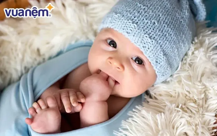 Con Đường Sự Nghiệp Và Tương Lai Có Gì Đáng Chú Ý? Con Đường Sự Nghiệp Và Tương Lai Có Gì Đáng Chú Ý?