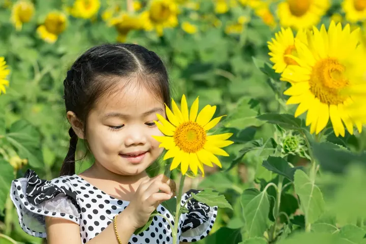 Giải Thích Chi Tiết Ý Nghĩa Từng Từ Trong Tên Gọi Cao Phong Theo Từ Điển Hán Việt