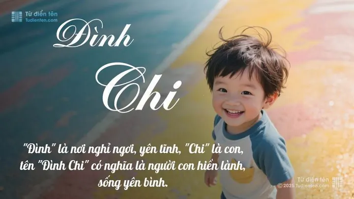 Tên Chí Dĩnh Có Ý Nghĩa Gì Theo Từ Điển Hán Việt?
