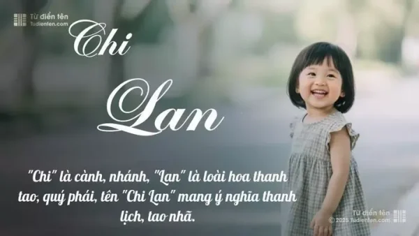 Ý Nghĩa Tên Chi Lan Là Gì? Giải Mã Ý Nghĩa, Phong Thủy Và Thần Số Học Chi Tiết