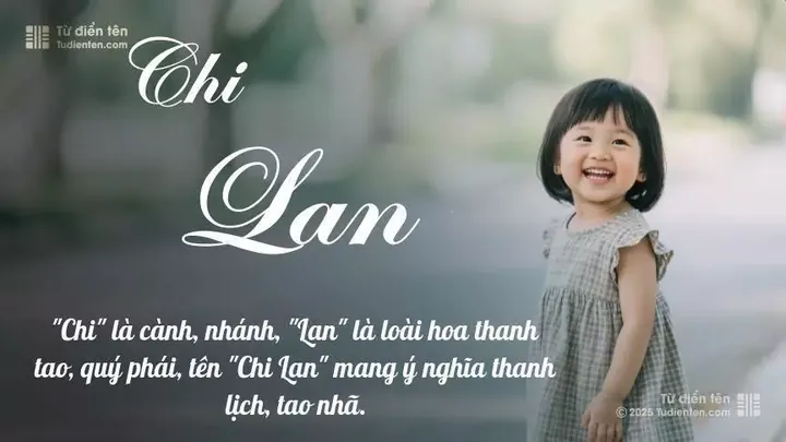Ý Nghĩa Tên Chi Lan Là Gì? Giải Mã Ý Nghĩa, Phong Thủy Và Thần Số Học Chi Tiết