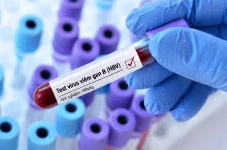 Ngôi Chùa Cổ Kính Trải Qua Nhiều Thăng Trầm Lịch Sử