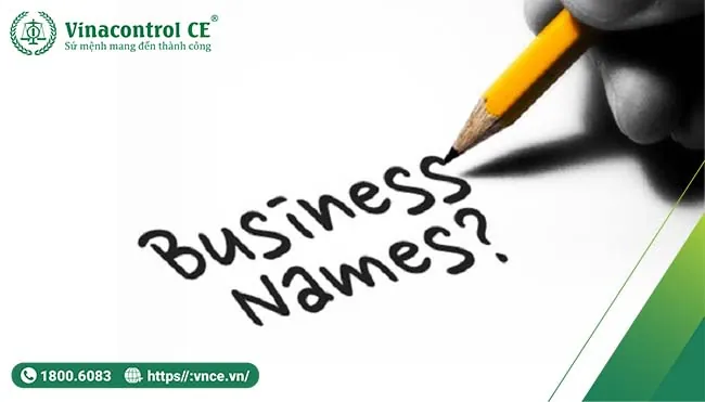 Những Lưu Ý Quan Trọng Khi Đặt Tên Công Ty Có Gắn Đuôi Co.ltd Là Gì?