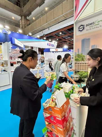 Ý Nghĩa Tên Colusa Là Gì? Nguồn Gốc Và Câu Chuyện Lịch Sử Đằng Sau Thương Hiệu Mì Ăn Liền Huyền Thoại