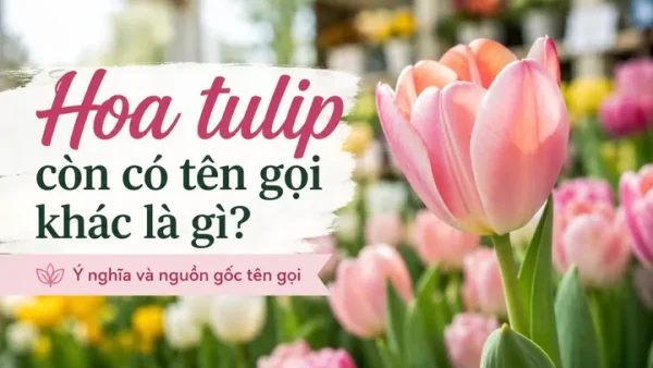 Ý Nghĩa Tên Con Cả Là Gì? Giải Mã Thông Điệp Tình Cảm Và Gợi Ý Tên Đệm Hay Cho Bé