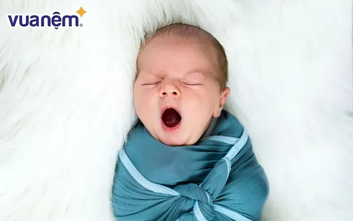 Gợi Ý Đặt Tên Con Trai Họ Đặng Theo Các Chữ Cái Phổ Biến Gợi Ý Đặt Tên Con Trai Họ Đặng Theo Các Chữ Cái Phổ Biến