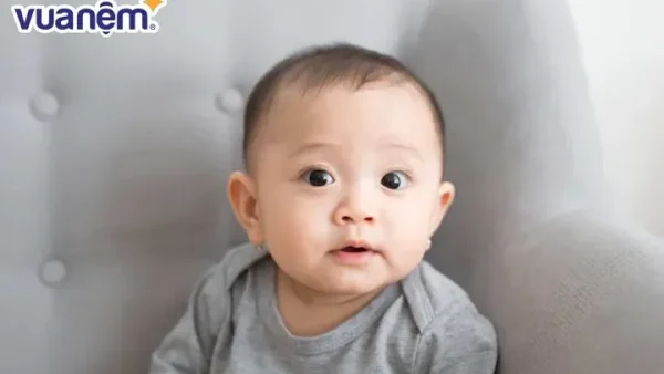 Ý Nghĩa Tên Quang Anh Là Gì? Phân Tích Chi Tiết Phong Thủy Và Vận Mệnh Con Trai