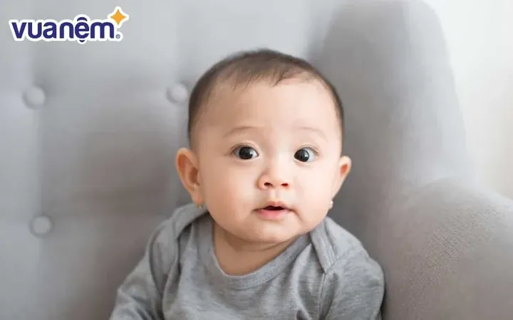 Có Những Cách Kết Hợp Họ Tên Và Tên Đệm Nào Hay Cho Tên Quang Anh? Có Những Cách Kết Hợp Họ Tên Và Tên Đệm Nào Hay Cho Tên Quang Anh?