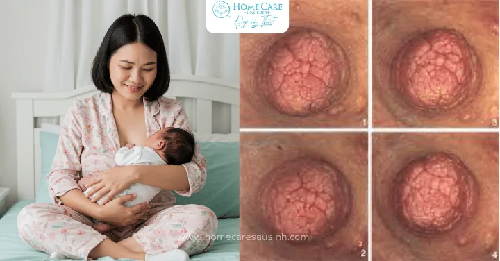 Tước Hiệu "con Vua Đa-vít" Mà Ba-ti-mê Gọi Chúa Giê-su Có Ý Nghĩa Gì? Tước Hiệu "con Vua Đa-vít" Mà Ba-ti-mê Gọi Chúa Giê-su Có Ý Nghĩa Gì?