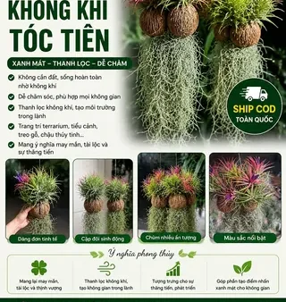 Tên Lê Diễm Có Ý Nghĩa Gì? Giải Mã Ý Nghĩa, Phong Thủy Và Gợi Ý Tên Đệm Hay Nhất