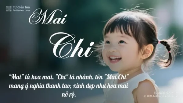 Ý Nghĩa Tên Diễn Chi Là Gì? Giải Mã Chi Tiết Hán Việt, Phong Thủy Và Gợi Ý Tên Đệm Hay