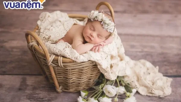 Tên Diệp Thư: Ý Nghĩa Hán Việt, Phong Thủy Và Gợi Ý Tên Đệm Hay Cho Bé Gái