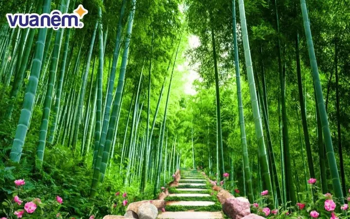 Những Bộ Tên Đệm Hoặc Tên Ghép Tương Tự Diệp Trà Có Ý Nghĩa Gì? Những Bộ Tên Đệm Hoặc Tên Ghép Tương Tự Diệp Trà Có Ý Nghĩa Gì?
