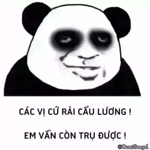 Người Hâm Mộ Thiên Chỉ Hạc Thường Tổ Chức Những Hoạt Động Ý Nghĩa Nào? Người Hâm Mộ Thiên Chỉ Hạc Thường Tổ Chức Những Hoạt Động Ý Nghĩa Nào?