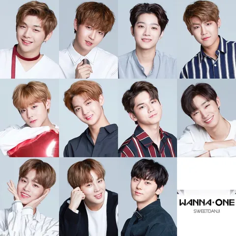 Ý Nghĩa Cái Tên Wanna One Liên Quan Thế Nào Đến Con Số 101? Ý Nghĩa Cái Tên Wanna One Liên Quan Thế Nào Đến Con Số 101?