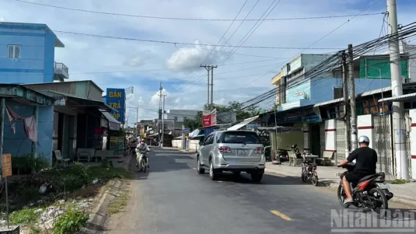 Ý Nghĩa Tên Gọi Địa Danh Giồng Trôm: Nguồn Gốc Và Giá Trị Lịch Sử Văn Hóa