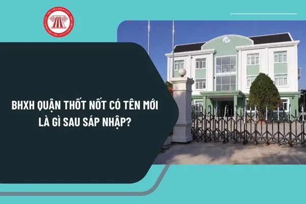 Địa Danh Thốt Nốt Cần Thơ Mang Ý Nghĩa Và Nguồn Gốc Lịch Sử Như Thế Nào?