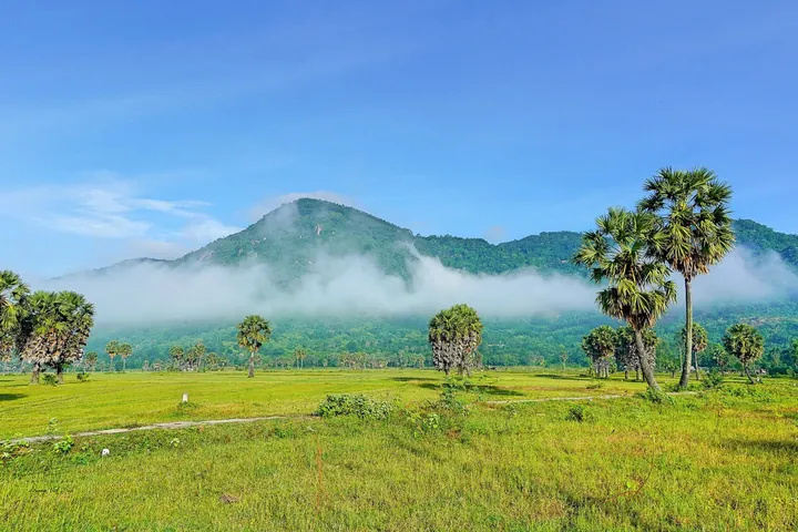 Giai Thoại Về Lời Nguyền, Yêu Ma Quỷ Quái Và Tướng Cướp Đơn Hùng Tín Là Gì? Giai Thoại Về Lời Nguyền, Yêu Ma Quỷ Quái Và Tướng Cướp Đơn Hùng Tín Là Gì?