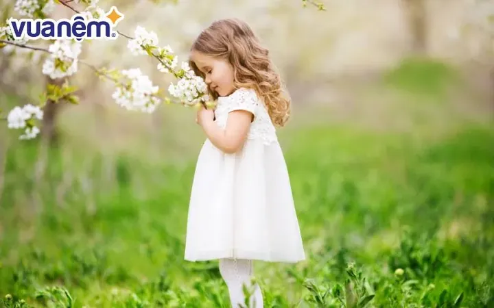 Ý Nghĩa Của Chữ "hà" Trong Tên Đệm Ý Nghĩa Của Chữ "hà" Trong Tên Đệm