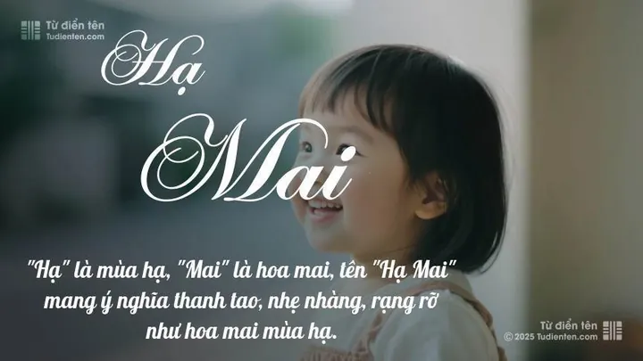 Ý Nghĩa Tên Hà Mai Là Gì Theo Từ Điển Hán Việt? Ý Nghĩa Tên Hà Mai Là Gì Theo Từ Điển Hán Việt?