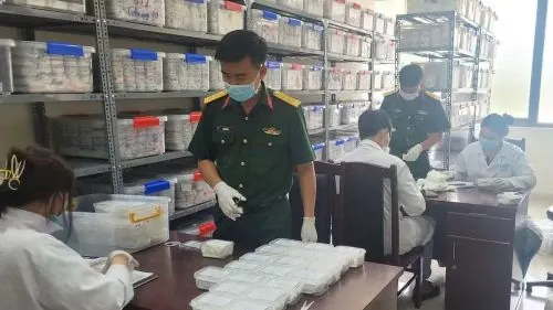 Đánh Giá Tổng Quan Về Tên Hàn Lâm Cho Người Mang Danh Xưng Này