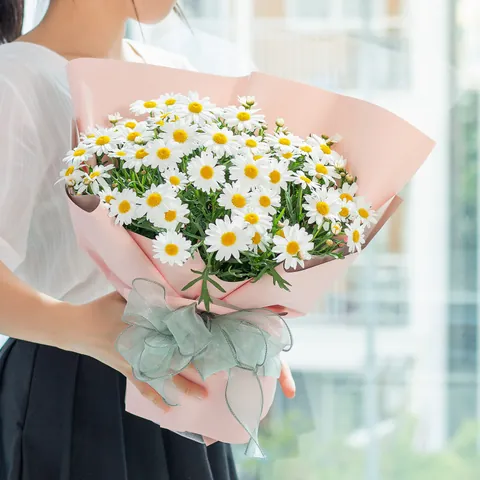 Ý Nghĩa Biểu Tượng Của Hoa Cúc Họa Mi Trong Tình Yêu Và Các Nền Văn Hóa Ý Nghĩa Biểu Tượng Của Hoa Cúc Họa Mi Trong Tình Yêu Và Các Nền Văn Hóa