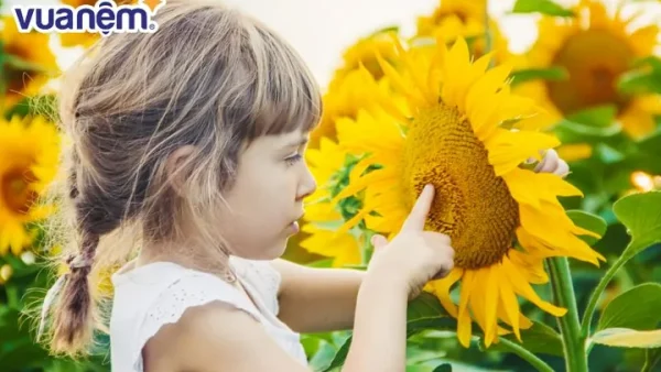 Tên Hoài Như Có Ý Nghĩa Gì? Giải Mã Tên Đệm, Phong Thủy Và Gợi Ý Tên Ghép Hay Cho Bé Gái