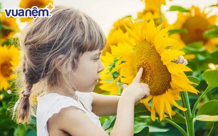 Những Lưu Ý Quan Trọng Nào Cha Mẹ Cần Biết Khi Đặt Tên Cho Con? Những Lưu Ý Quan Trọng Nào Cha Mẹ Cần Biết Khi Đặt Tên Cho Con?