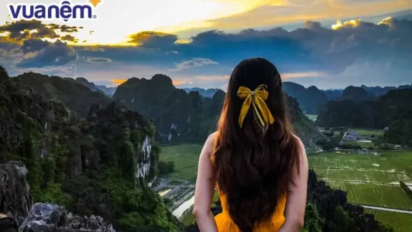 Ý Nghĩa Tên Hoàng Anh Thư Là Gì? Phân Tích Phong Thủy, Tính Cách Và Vận Mệnh Chi Tiết