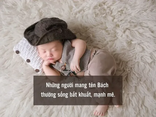 Ý Nghĩa Tên Bách Theo Từ Điển Hán Việt