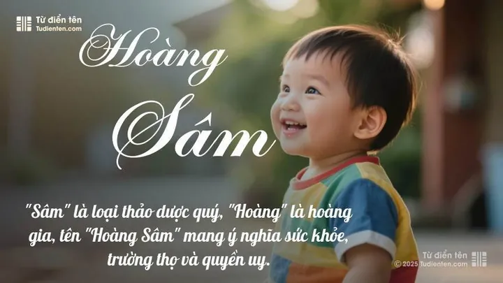 Tên Hoàng Sâm Có Ý Nghĩa Gì Theo Hán Việt Và Phong Thủy? Tên Hoàng Sâm Có Ý Nghĩa Gì Theo Hán Việt Và Phong Thủy?