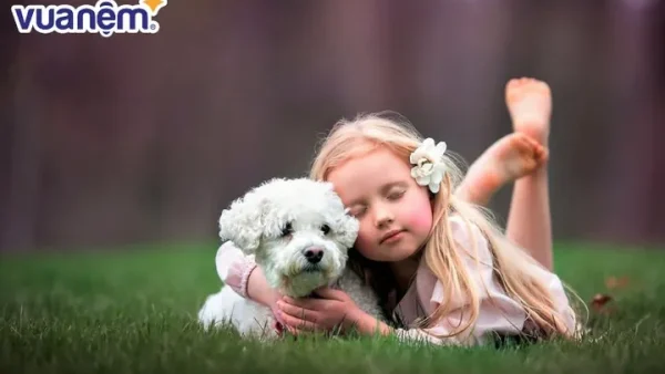 Ý Nghĩa Tên Hồng Hân Là Gì? Khám Phá Phong Thủy, Thần Số Học Và Gợi Ý Tên Đệm Hay