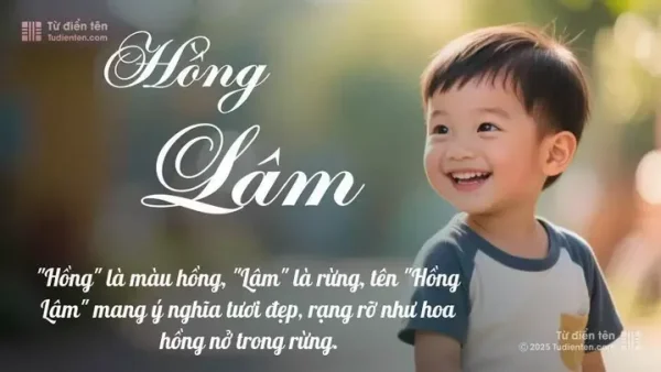 Ý Nghĩa Tên Hồng Lâm Là Gì? Phân Tích Chi Tiết Phong Thủy Và Thần Số Học