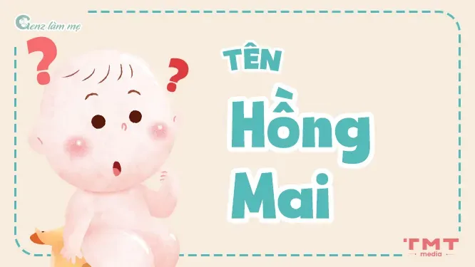 Gợi Ý Các Tên Đệm Ghép Với Chữ Hồng Hay Cho Bé Gái
