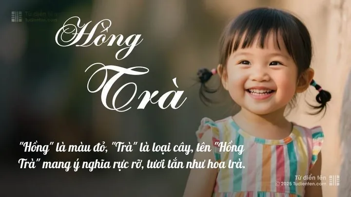 Tên Hồng Trà Thể Hiện Điều Gì Dưới Góc Độ Phong Thủy Và Ngũ Hành? Tên Hồng Trà Thể Hiện Điều Gì Dưới Góc Độ Phong Thủy Và Ngũ Hành?