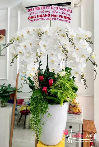 Ý Nghĩa Tên Khúc Hạo Là Gì Và Dấu Ấn Lịch Sử Của Vị Tiết Độ Sứ Thời Tự Chủ