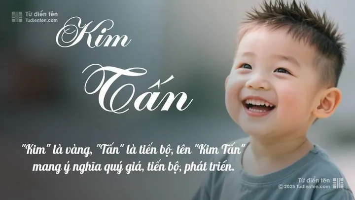 Vị Trí Đặt Chậu Cây Kim Phát Tài Tối Ưu Nhất Trong Không Gian Sống Vị Trí Đặt Chậu Cây Kim Phát Tài Tối Ưu Nhất Trong Không Gian Sống